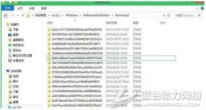 Win8.1专业版下regid.1991|06.com.microsoft可以删除吗?