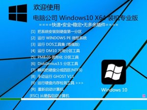 Window10下载|电脑公司Windows 10专业版净版64位下载