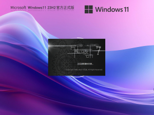 在哪儿查询电脑型号？Windows 11电脑型号的获得办法介绍