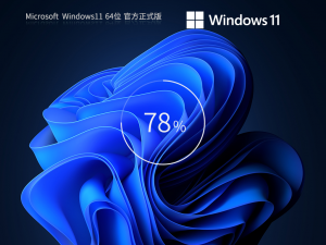Windows 11怎么样打开隐藏文件夹？Windows 11打开隐藏文件夹办法